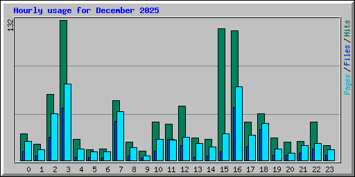 Hourly usage for December 2025
