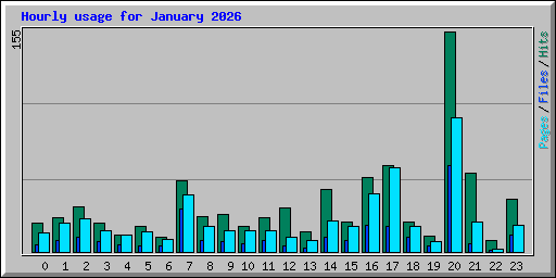 Hourly usage for January 2026